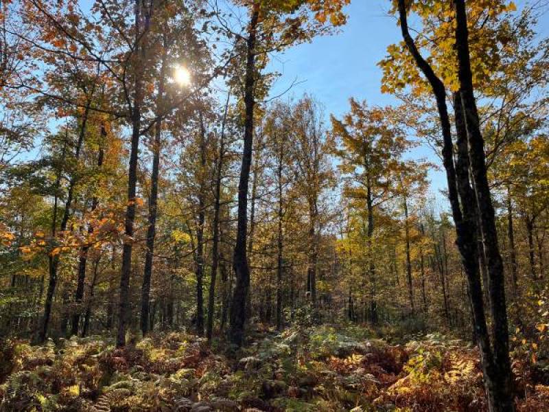 3 -Acres of Land for sale in Colton NY
,900
Colton 3 -Acres of Land for sale in Colton NY
,900
Colton