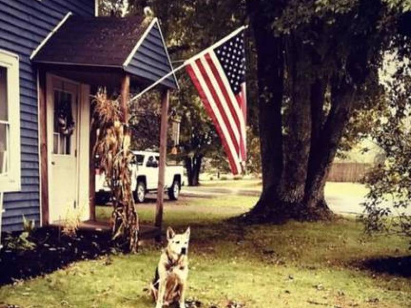 Peaceful country setting 3 bedroom.
0,000
Oswego Peaceful country setting 3 bedroom.
0,000
Oswego