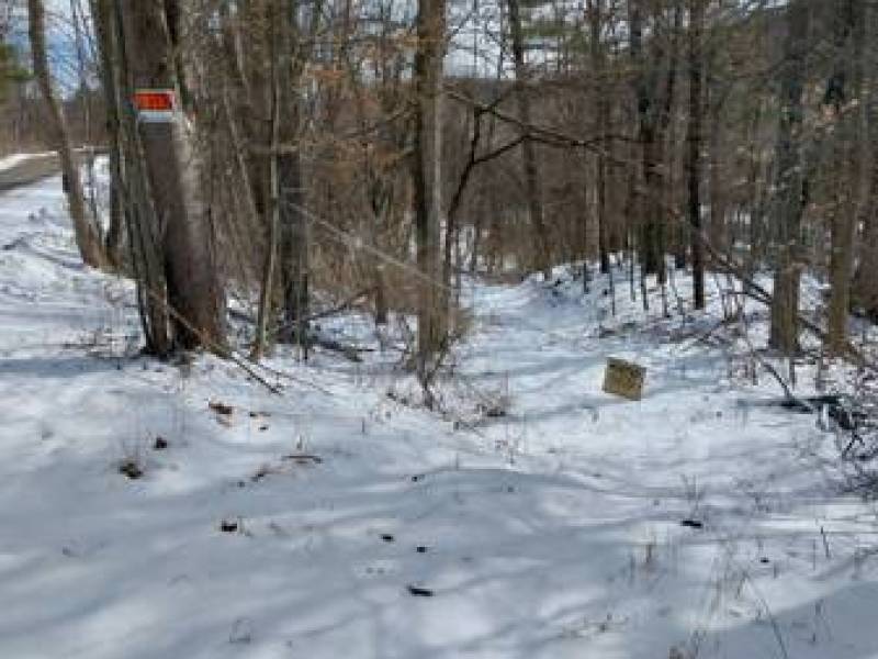 Affordable country wooded land w stream
,500
Woodhull Affordable country wooded land w stream
,500
Woodhull