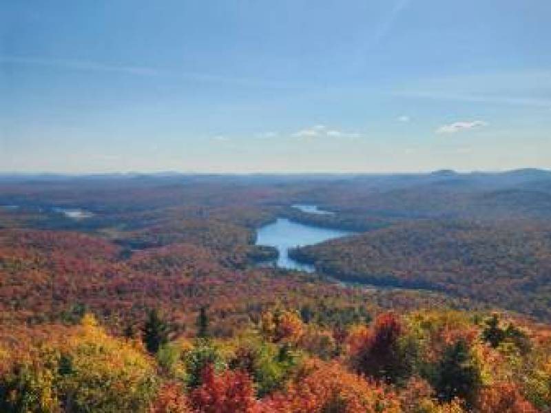 Laundry Center, Small Pets Welcome, Professionally Managed
,354
Lake Placid Laundry Center, Small Pets Welcome, Professionally Managed
,354
Lake Placid