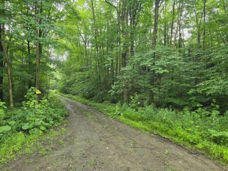 Own your 35 acres backing to thousands of state land
,000
mcdonough Own your 35 acres backing to thousands of state land
,000
mcdonough