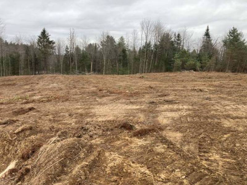 Your Dream Home Awaits in Remsen, NY!
,900
Remsen, NY Your Dream Home Awaits in Remsen, NY!
,900
Remsen, NY