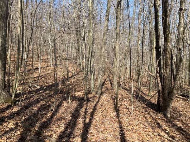 14 acre Hillside Property in Broome County NY
,900
Binghamton 14 acre Hillside Property in Broome County NY
,900
Binghamton