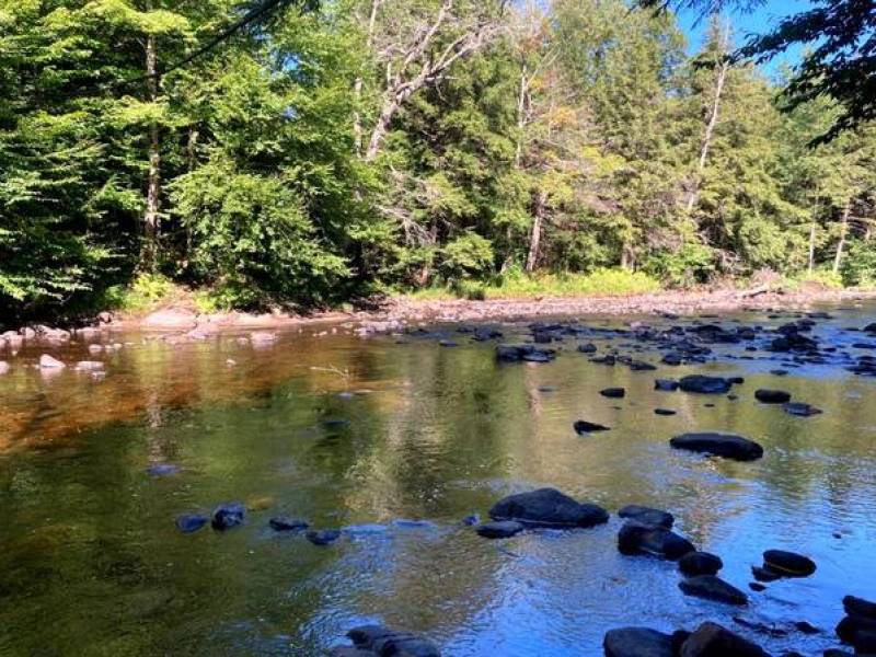Secluded Waterfront Paradise on Spruce Creek – 7.2 Acres!
,000
Salisbury Center, NY Secluded Waterfront Paradise on Spruce Creek – 7.2 Acres!
,000
Salisbury Center, NY