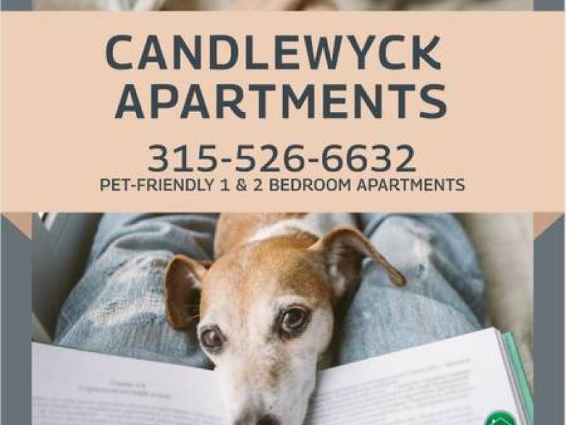 We’ve found your next apartment, and it’s amazing!
,148
Utica We’ve found your next apartment, and it’s amazing!
,148
Utica