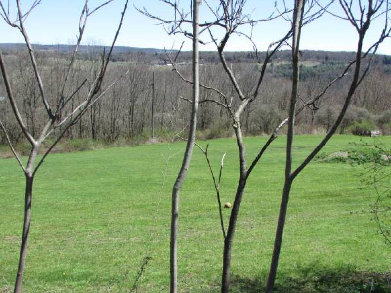37.6 Acres, Home-site cleared, Stream, Mt view, Electric, 3 hr/NYC
,000
Lisle, NY 37.6 Acres, Home-site cleared, Stream, Mt view, Electric, 3 hr/NYC
,000
Lisle, NY