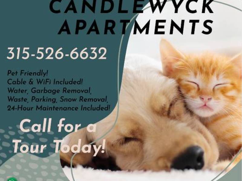 INTERNET & CABLE INCLUDED! 2 Bedroom Apartments at Candlewyck Apartmen
,379
Utica INTERNET & CABLE INCLUDED! 2 Bedroom Apartments at Candlewyck Apartmen
,379
Utica