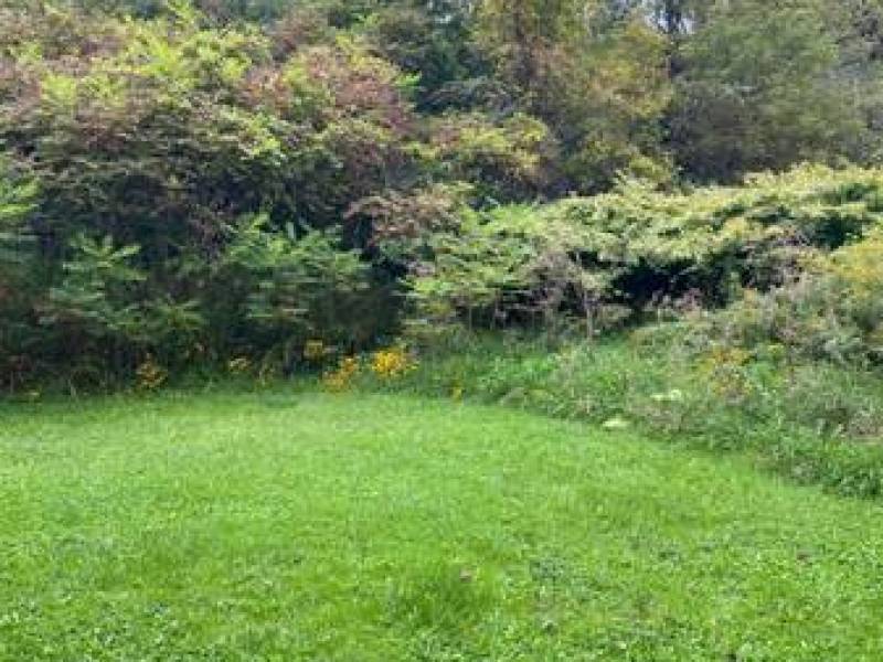 2.38 acres of land Clayton NY
,900
Depauville 2.38 acres of land Clayton NY
,900
Depauville