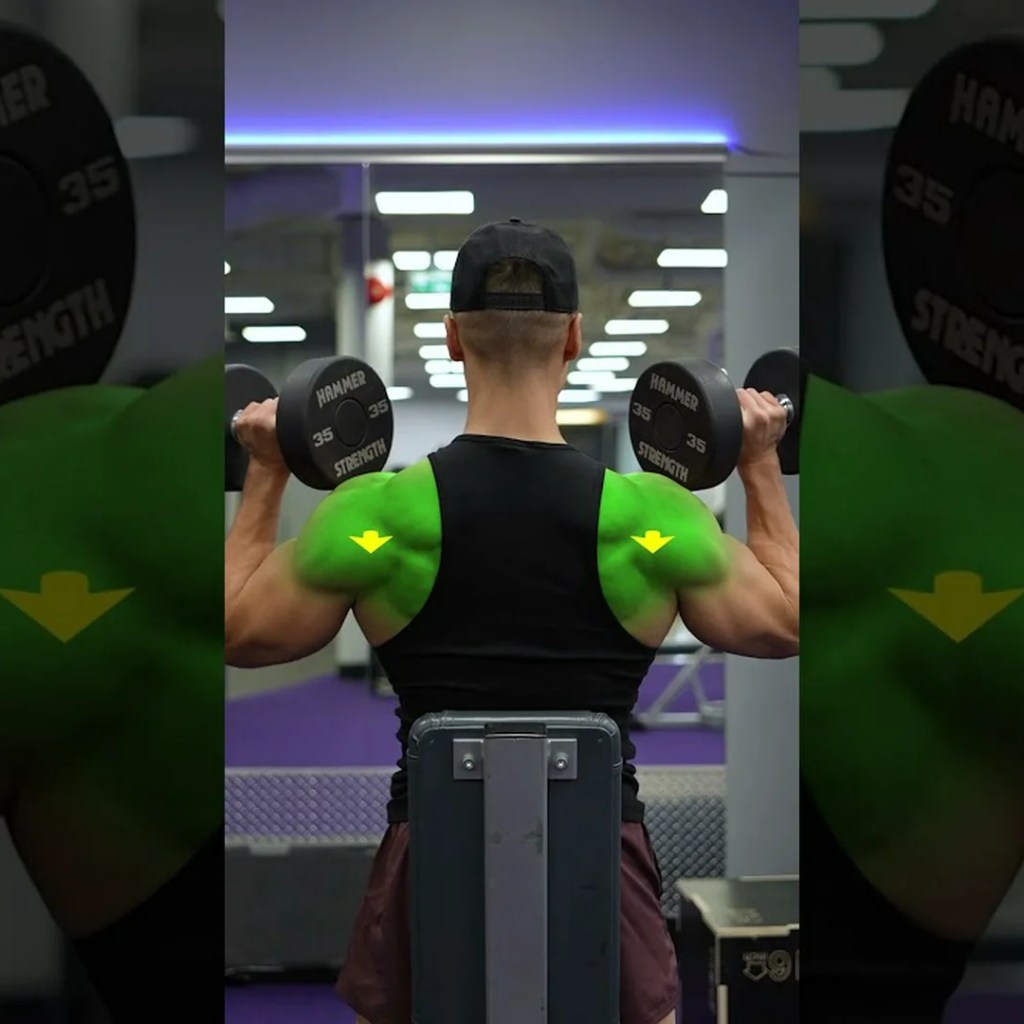 Grasp the Seated Dumbbell Overhead Press Setup: 5 Tick list Steps for More potent Shoulders Grasp the Seated Dumbbell Overhead Press Setup: 5 Tick list Steps for More potent Shoulders