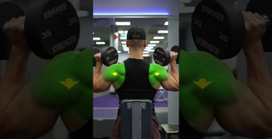 Grasp the Seated Dumbbell Overhead Press Setup: 5 Tick list Steps for More potent Shoulders Grasp the Seated Dumbbell Overhead Press Setup: 5 Tick list Steps for More potent Shoulders