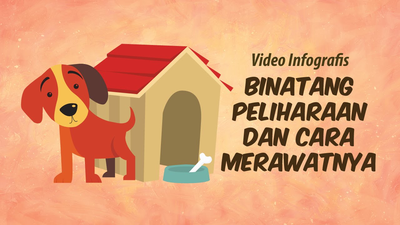 Panduan Lengkap Merawat Hewan Peliharaan Di Musim Hujan Panduan Lengkap Merawat Hewan Peliharaan Di Musim Hujan