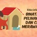 Panduan Lengkap Merawat Hewan Peliharaan Di Musim Hujan Panduan Lengkap Merawat Hewan Peliharaan Di Musim Hujan