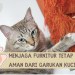 Cara Mengatasi Masalah Cakar Kucing Pada Furnitur Cara Mengatasi Masalah Cakar Kucing Pada Furnitur