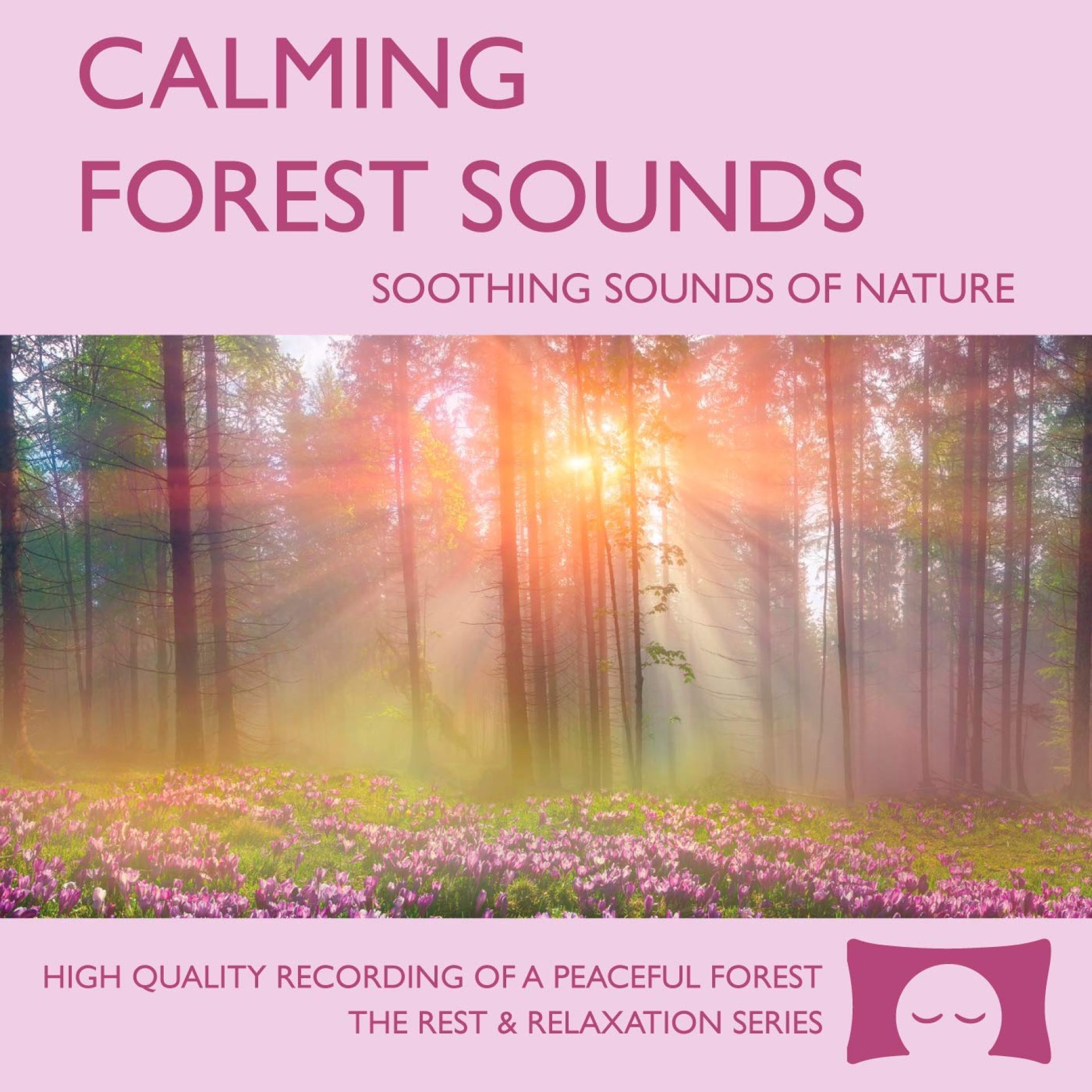 Calming Forest Sounds – Soothing Nature Ambience for Stress Relief, Meditation and Creating a Peaceful Environment – Natural White Noise Calming Forest Sounds – Soothing Nature Ambience for Stress Relief, Meditation and Creating a Peaceful Environment – Natural White Noise