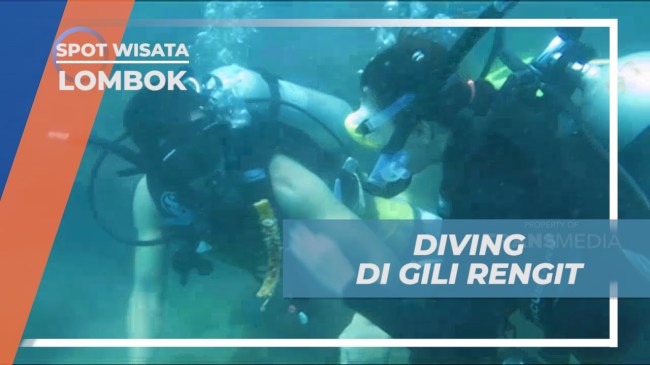 Pesona Biota Laut Di Bawah Laut Gili Rengit Pesona Biota Laut Di Bawah Laut Gili Rengit