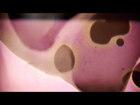 Samuel Leipold / Martin Perret Samuel Leipold / Martin Perret