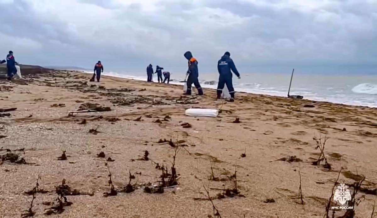 More than 30 dolphins have died since an oil spill in Russia, experts say More than 30 dolphins have died since an oil spill in Russia, experts say