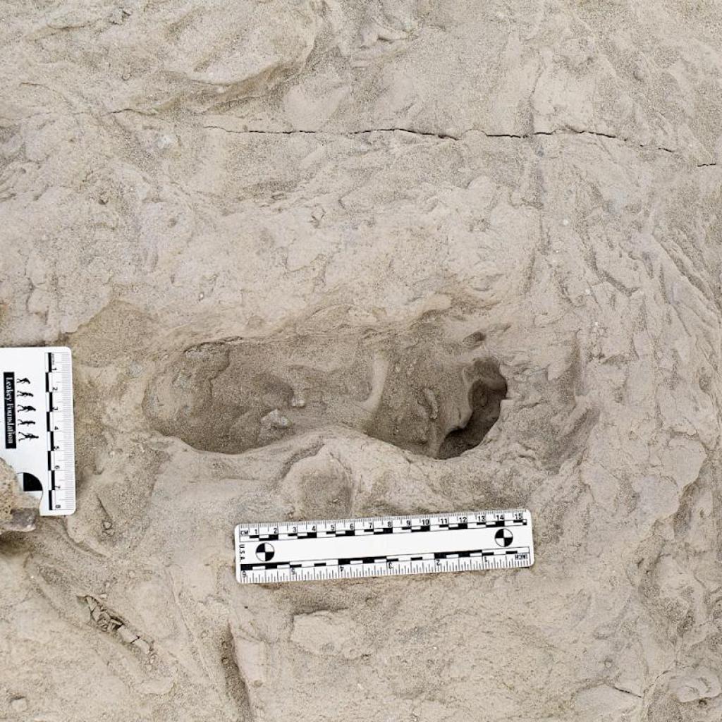 Footprints show two species of ancient human relatives shared the same ground at the same time Footprints show two species of ancient human relatives shared the same ground at the same time