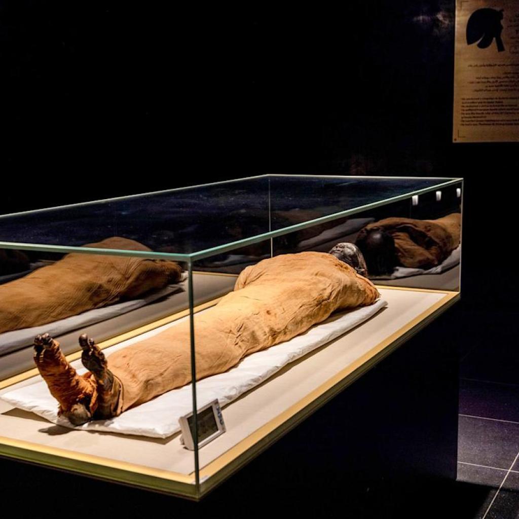 Missing tomb of Egyptian pharaoh solves one of ancient Egypt’s great mysteries Missing tomb of Egyptian pharaoh solves one of ancient Egypt’s great mysteries