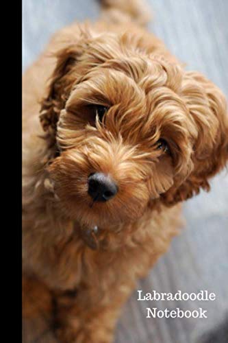 Labradoodle Notebook: Cute Labradoodle Journal, Dog Notebook. Diary, 6″x9″ Lined Pages, 120 Pages For Dog Owners To Write, Doodle & Create Labradoodle Notebook: Cute Labradoodle Journal, Dog Notebook. Diary, 6″x9″ Lined Pages, 120 Pages For Dog Owners To Write, Doodle & Create