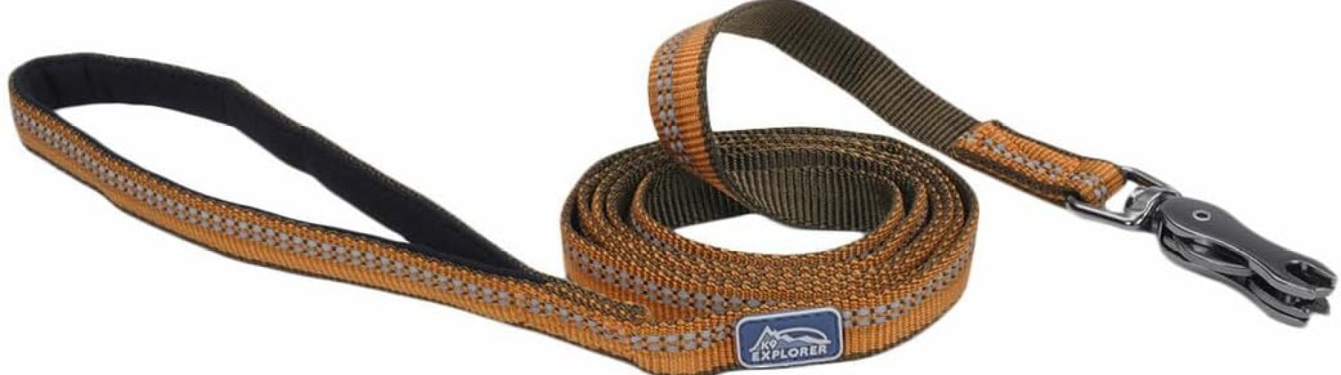 Coastal Pet K9 Explorer Reflective Dog Leash with Scissor Snap – Durable Nylon Leash – Leashes for Dogs & Puppies – Pet Supplies for Dogs – Campfire Orange, 5/8″ x 6′ Coastal Pet K9 Explorer Reflective Dog Leash with Scissor Snap – Durable Nylon Leash – Leashes for Dogs & Puppies – Pet Supplies for Dogs – Campfire Orange, 5/8″ x 6′