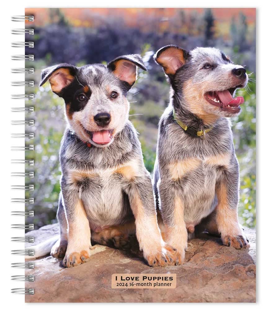 I Love Puppies | 2024 6 x 7.75 Inch Spiral-Bound Wire-O Weekly Engagement Planner Calendar | New Full-Color Image Every Week | BrownTrout | Animals Dog Breeds Puppy I Love Puppies | 2024 6 x 7.75 Inch Spiral-Bound Wire-O Weekly Engagement Planner Calendar | New Full-Color Image Every Week | BrownTrout | Animals Dog Breeds Puppy