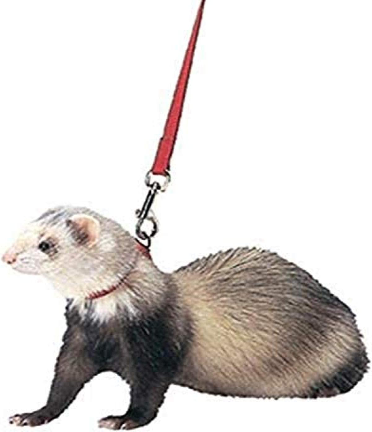 Marshall Pet Products Harness & Lead (Red) Marshall Pet Products Harness & Lead (Red)
