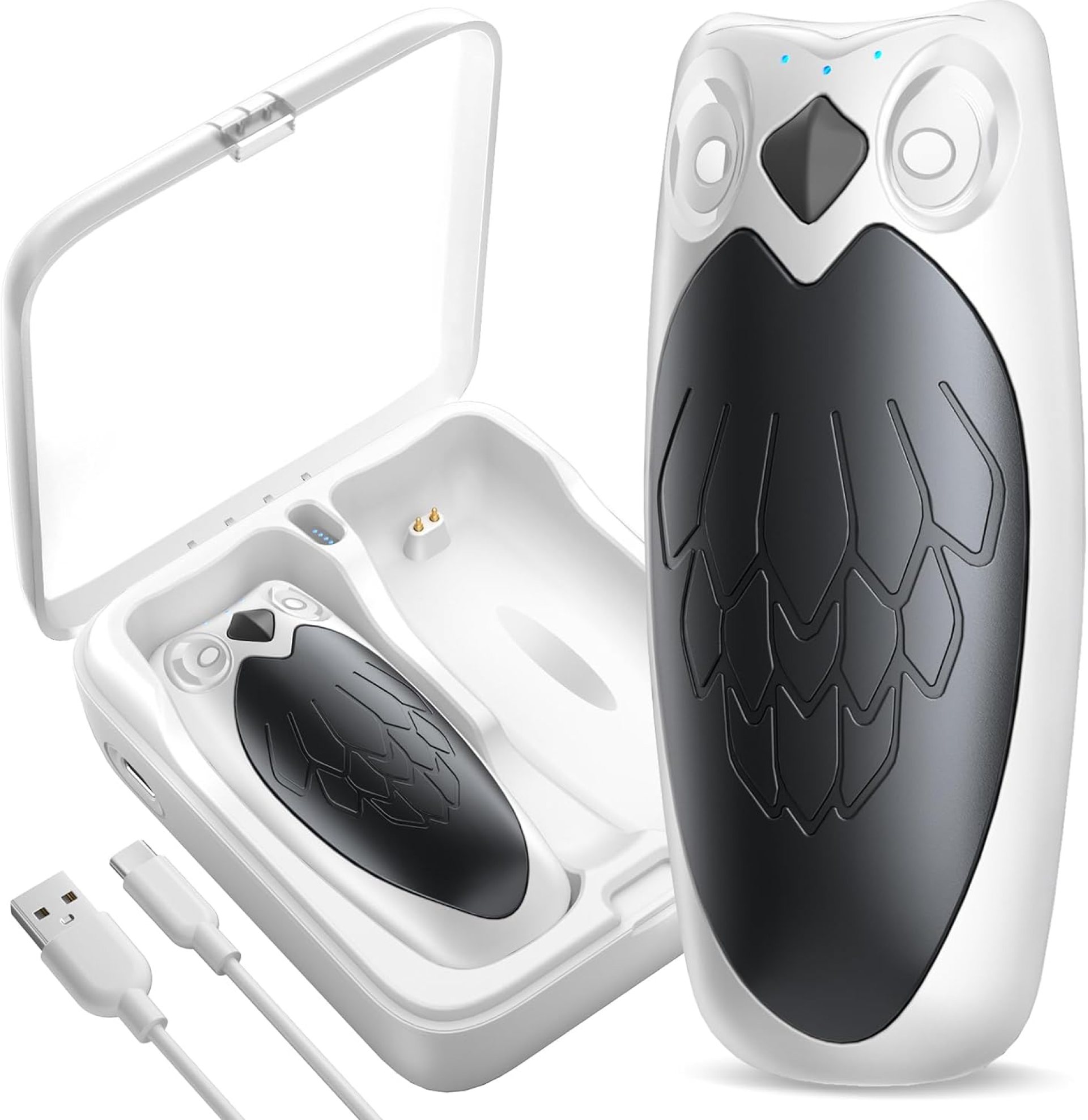 Hand Warmers Rechargeable 2 Pack, 14000 mAh Electric Hand Warmer with Charging Case, Portable Heater for Camping Hunting Gear, Gifts for Women, Men, Christmas, Raynauds, Outdoor, Golf Accessories Hand Warmers Rechargeable 2 Pack, 14000 mAh Electric Hand Warmer with Charging Case, Portable Heater for Camping Hunting Gear, Gifts for Women, Men, Christmas, Raynauds, Outdoor, Golf Accessories