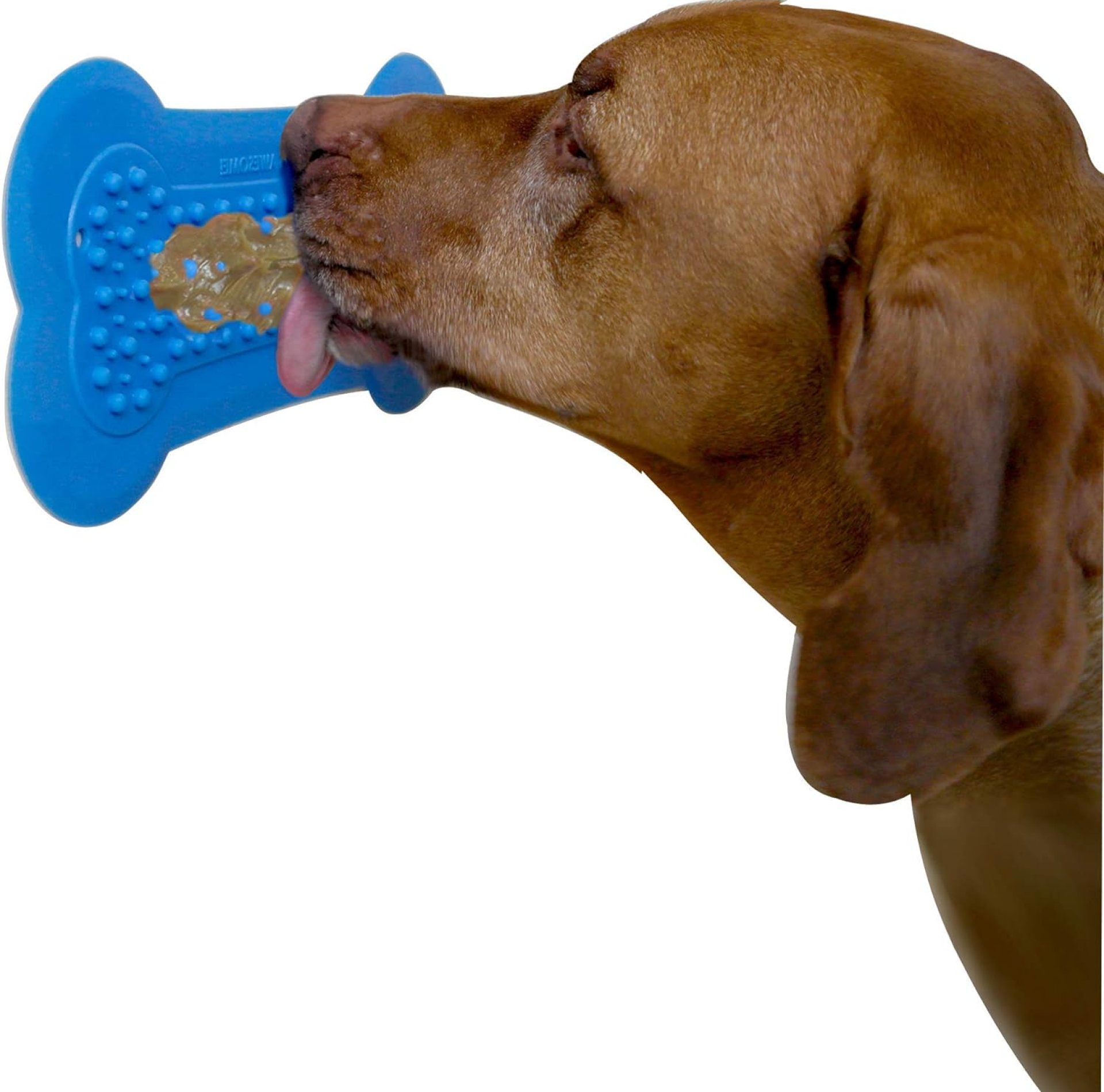 Lick Lick Pad Dog Accessories | Pet Shower Attachment | Dog Peanut Butter Lick Pad | Dog Bathing Station | Dog Bathing Supplies | Veterinarian Used | Suction to Wall | Large Lick Lick Pad Dog Accessories | Pet Shower Attachment | Dog Peanut Butter Lick Pad | Dog Bathing Station | Dog Bathing Supplies | Veterinarian Used | Suction to Wall | Large