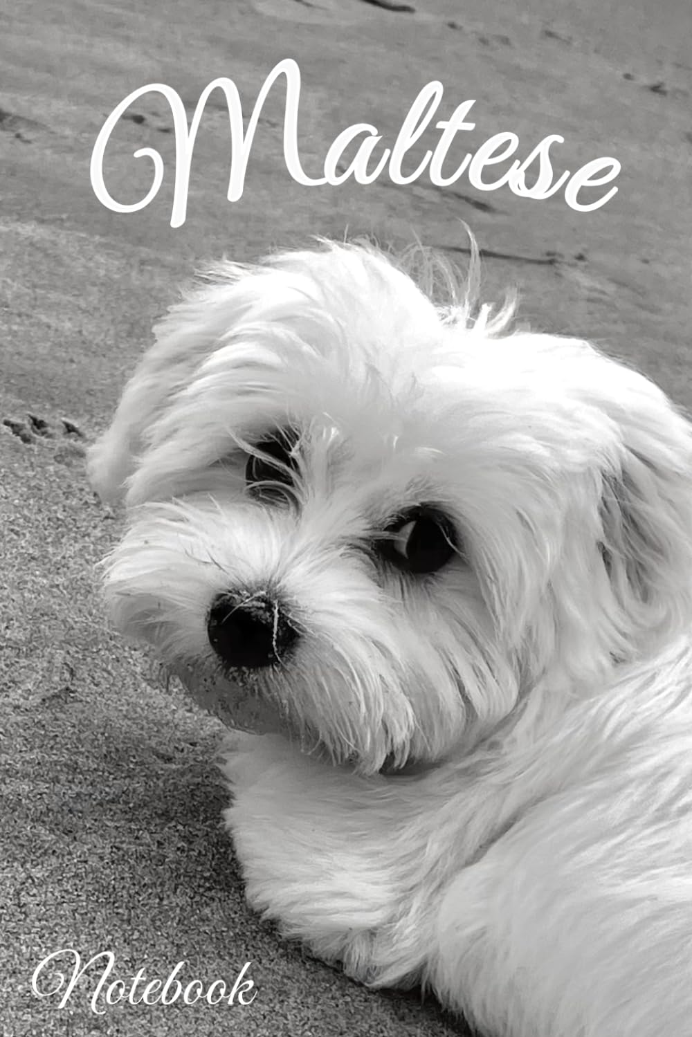 Maltese Dog Notebook: Perfect Gifts for Dog Mom Teens Kids Girls and Animal Lovers | Journal to Write Notes Diary | Graph Paper 5×5 Grid | Lovely Photo Puppy Cover Maltese Dog Notebook: Perfect Gifts for Dog Mom Teens Kids Girls and Animal Lovers | Journal to Write Notes Diary | Graph Paper 5×5 Grid | Lovely Photo Puppy Cover
