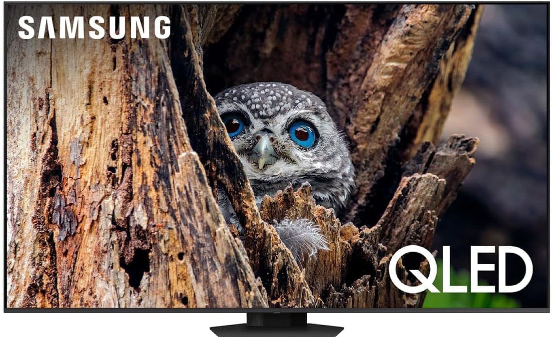 SAMSUNG 75-Inch Class QLED 4K Q80D Series Quantum HDR+ Smart TV w/Dolby Atmos, Object Tracking Sound Lite, Direct Full Array, Motion Xcelerator, Alexa Built-in (QN75Q80D, 2024 Model) SAMSUNG 75-Inch Class QLED 4K Q80D Series Quantum HDR+ Smart TV w/Dolby Atmos, Object Tracking Sound Lite, Direct Full Array, Motion Xcelerator, Alexa Built-in (QN75Q80D, 2024 Model)
