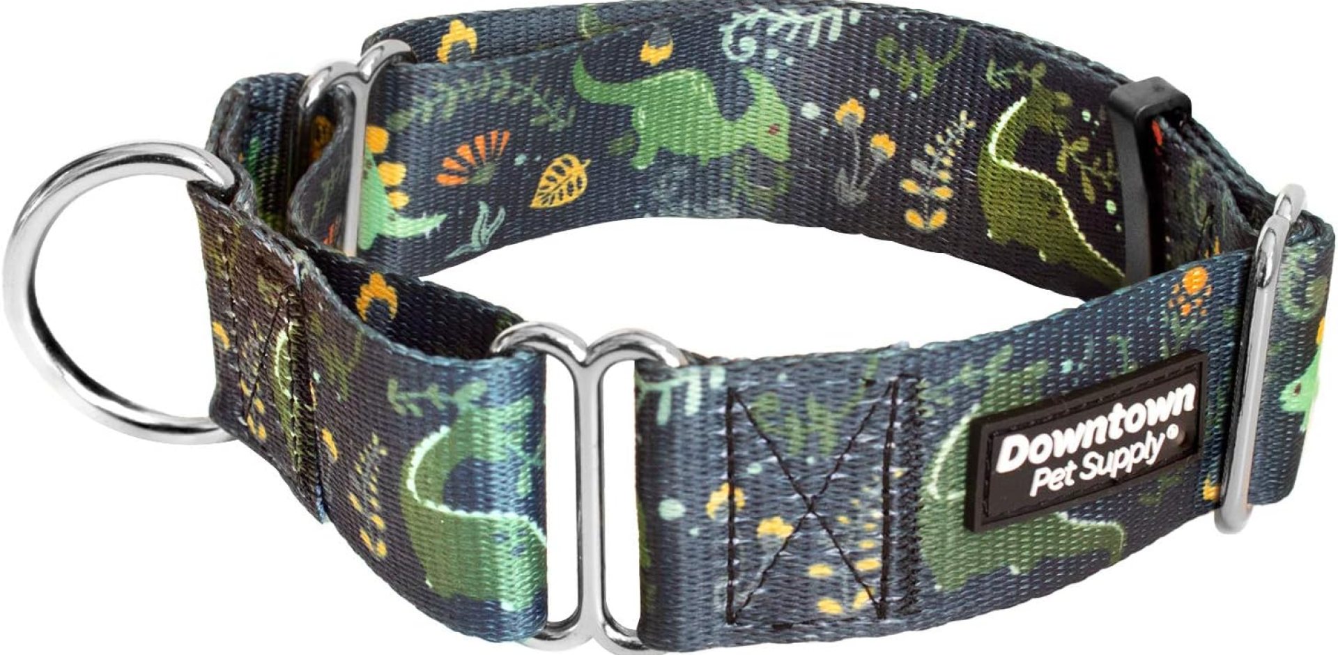 Downtown Pet Supply – Martingale Collar for Dogs – Dog Training Collar – Big, Wide & Thick Dog Collar – Escape-Proof, Weatherproof, Durable and Comfortable – Dino – Small Dog Collar Downtown Pet Supply – Martingale Collar for Dogs – Dog Training Collar – Big, Wide & Thick Dog Collar – Escape-Proof, Weatherproof, Durable and Comfortable – Dino – Small Dog Collar
