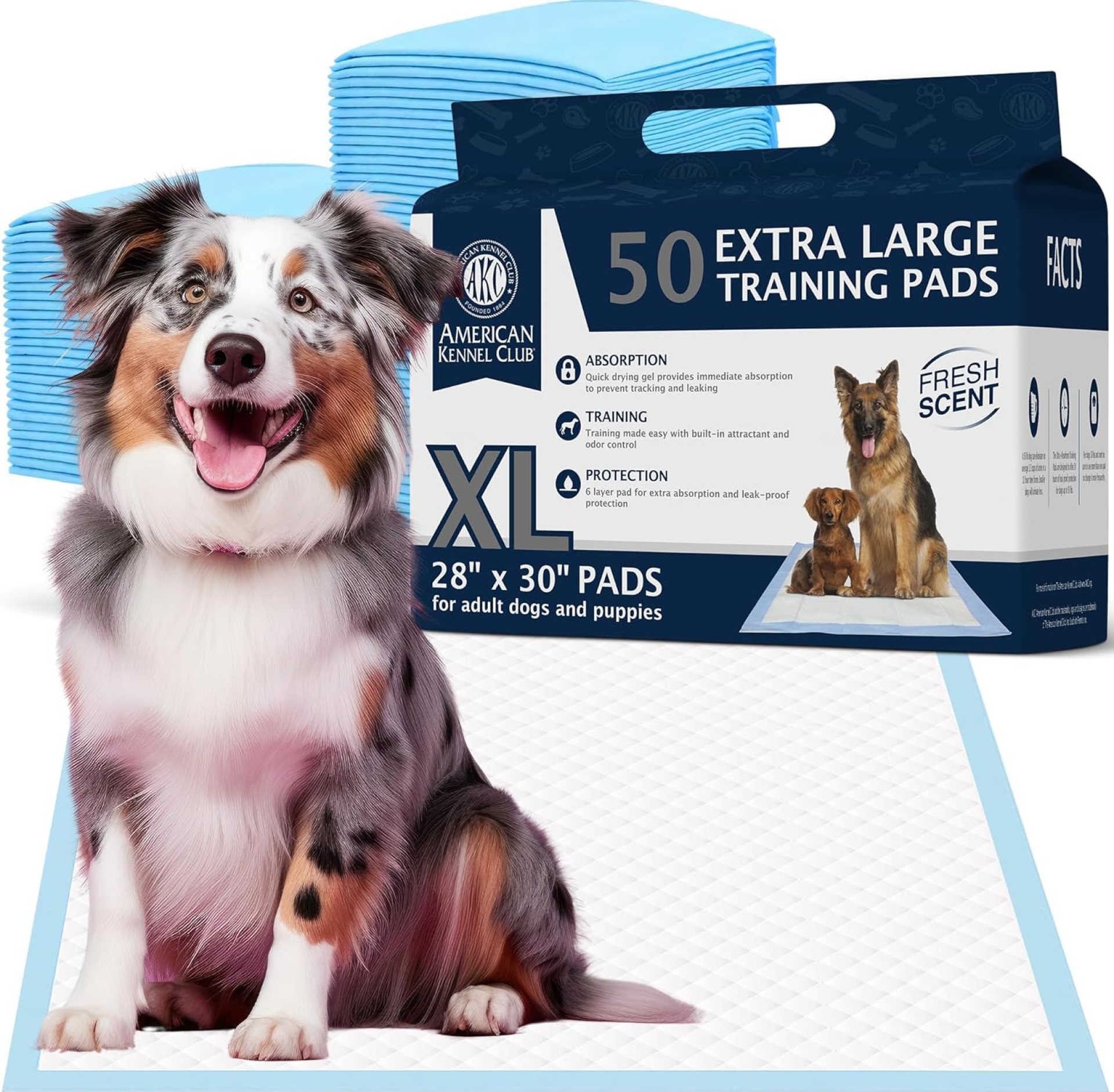American Kennel Club Scented Puppy Training Pads with Ultra Absorbent Quick Dry Gel – 28 x 30 Pee Pads for Dogs – Fresh Scented – 50 Count, XL American Kennel Club Scented Puppy Training Pads with Ultra Absorbent Quick Dry Gel – 28 x 30 Pee Pads for Dogs – Fresh Scented – 50 Count, XL