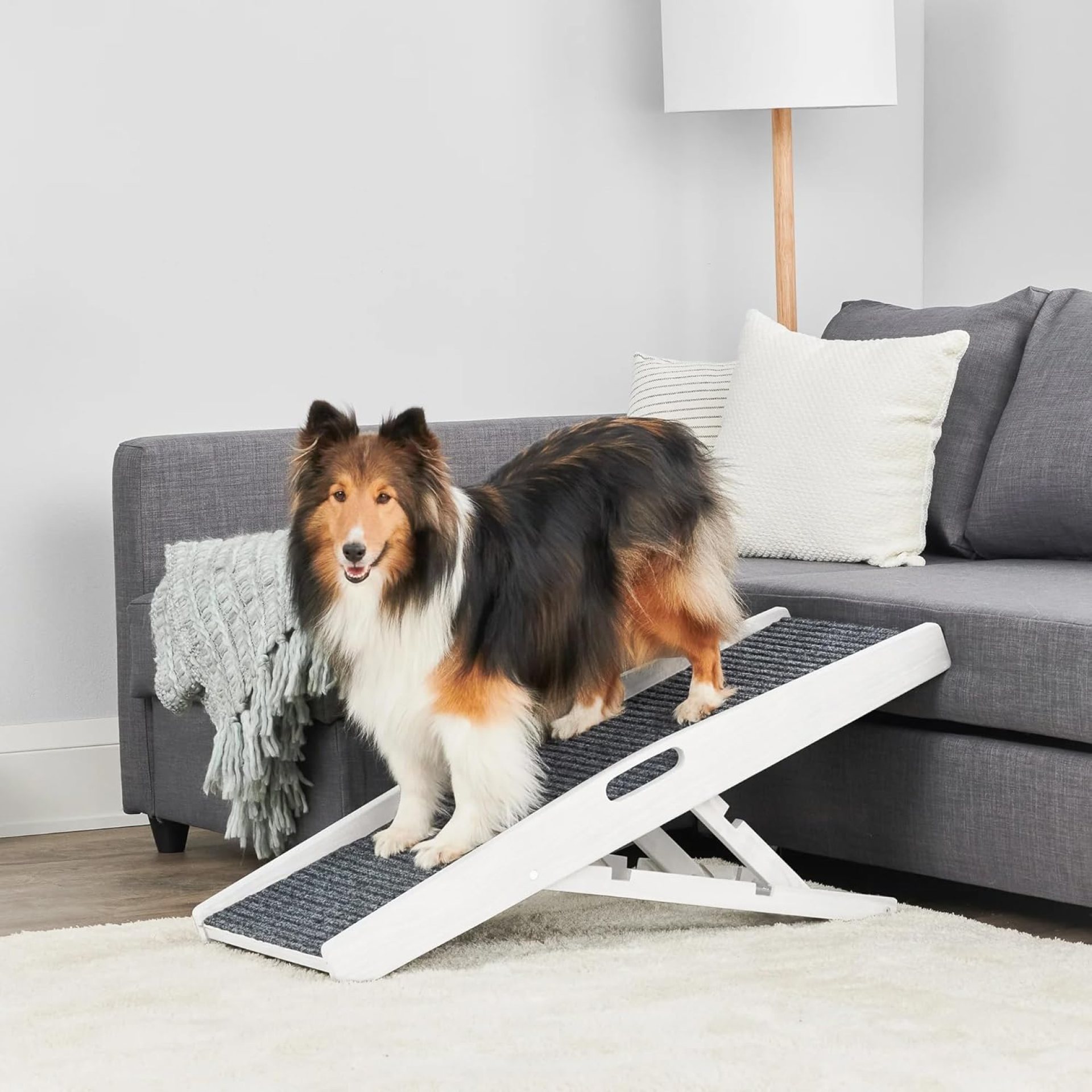 Carlson 39.5″ Indoor Pet Ramp, White, Collapsible, Adjustable Height, Includes Handles, Non-Slip Carpet, and Rubber Feet Carlson 39.5″ Indoor Pet Ramp, White, Collapsible, Adjustable Height, Includes Handles, Non-Slip Carpet, and Rubber Feet