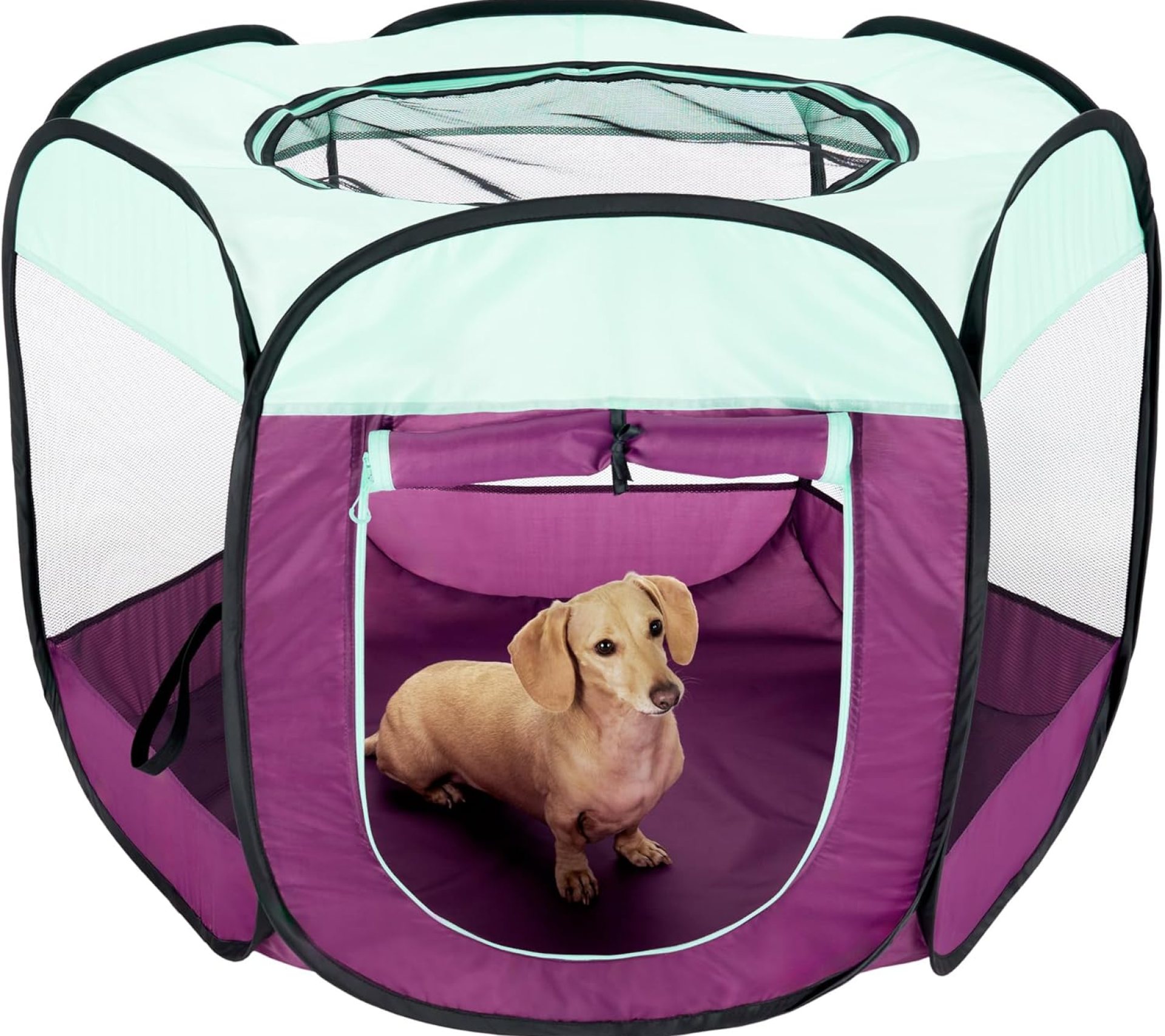 Furhaven Pop Up Dog Playpen Portable Pet Tent Playground Foldable Indoor Outdoor Puppy cat Kitten – Purple, Medium Furhaven Pop Up Dog Playpen Portable Pet Tent Playground Foldable Indoor Outdoor Puppy cat Kitten – Purple, Medium