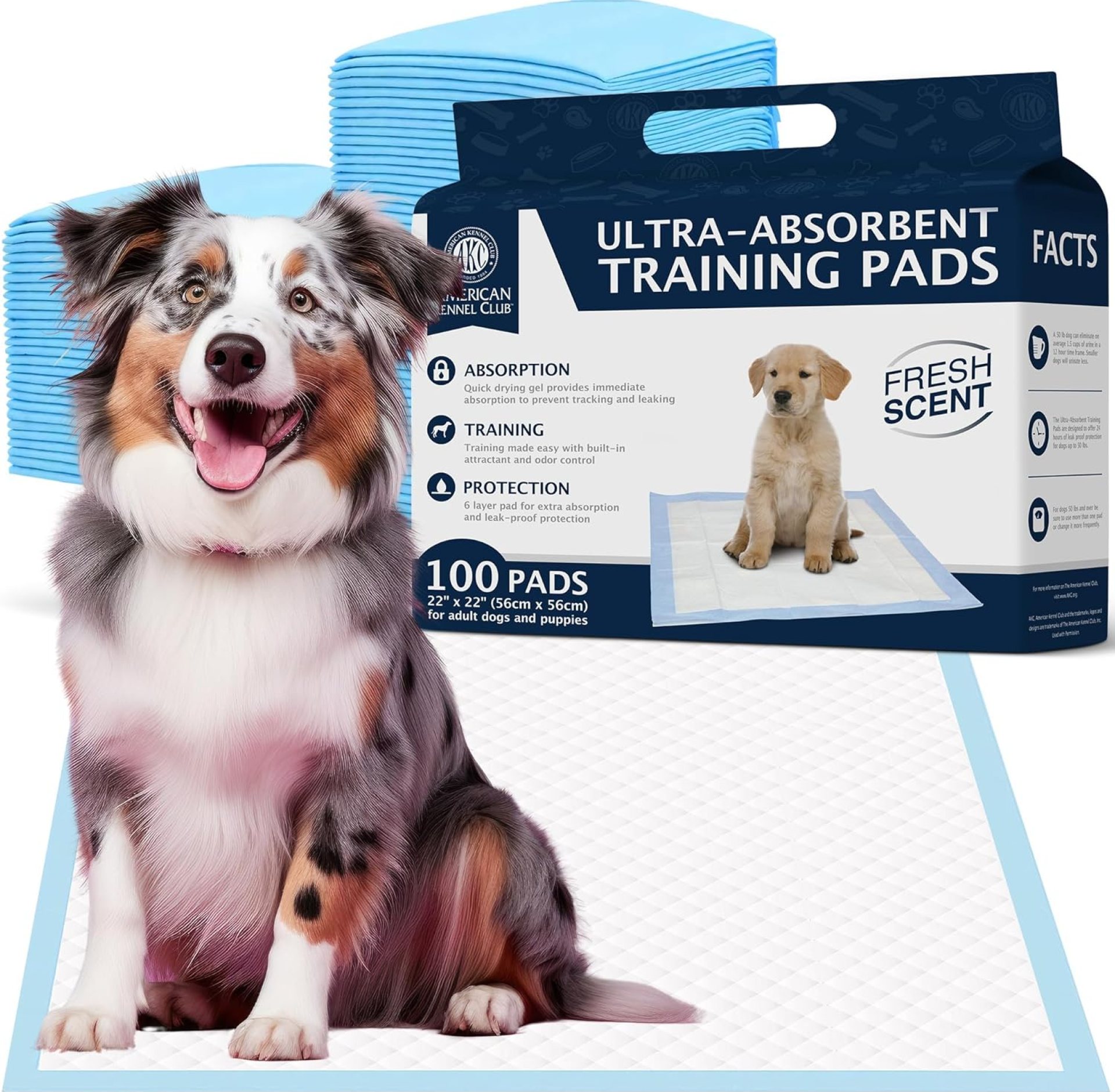 American Kennel Club Scented Puppy Training Pads with Ultra Absorbent Quick Dry Gel – 22 x 22 Pee Pads for Dogs – Fresh Scented – Pack of 100 American Kennel Club Scented Puppy Training Pads with Ultra Absorbent Quick Dry Gel – 22 x 22 Pee Pads for Dogs – Fresh Scented – Pack of 100