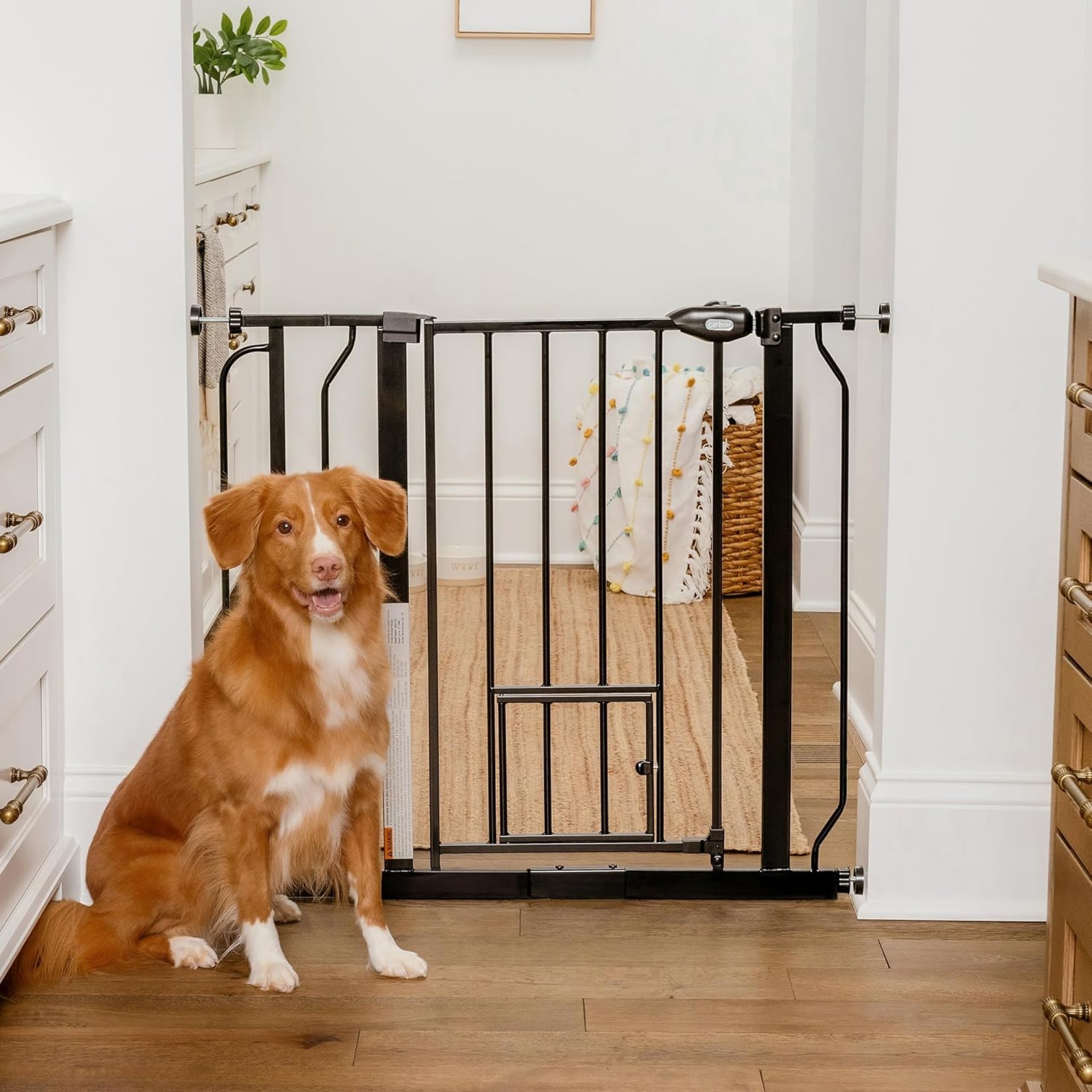 Carlson Extra Wide Walk Through Pet Gate with Small Pet Door, Includes 4-Inch Extension Kit, Pressure Mount Kit and Wall Mount Kit, Black Carlson Extra Wide Walk Through Pet Gate with Small Pet Door, Includes 4-Inch Extension Kit, Pressure Mount Kit and Wall Mount Kit, Black