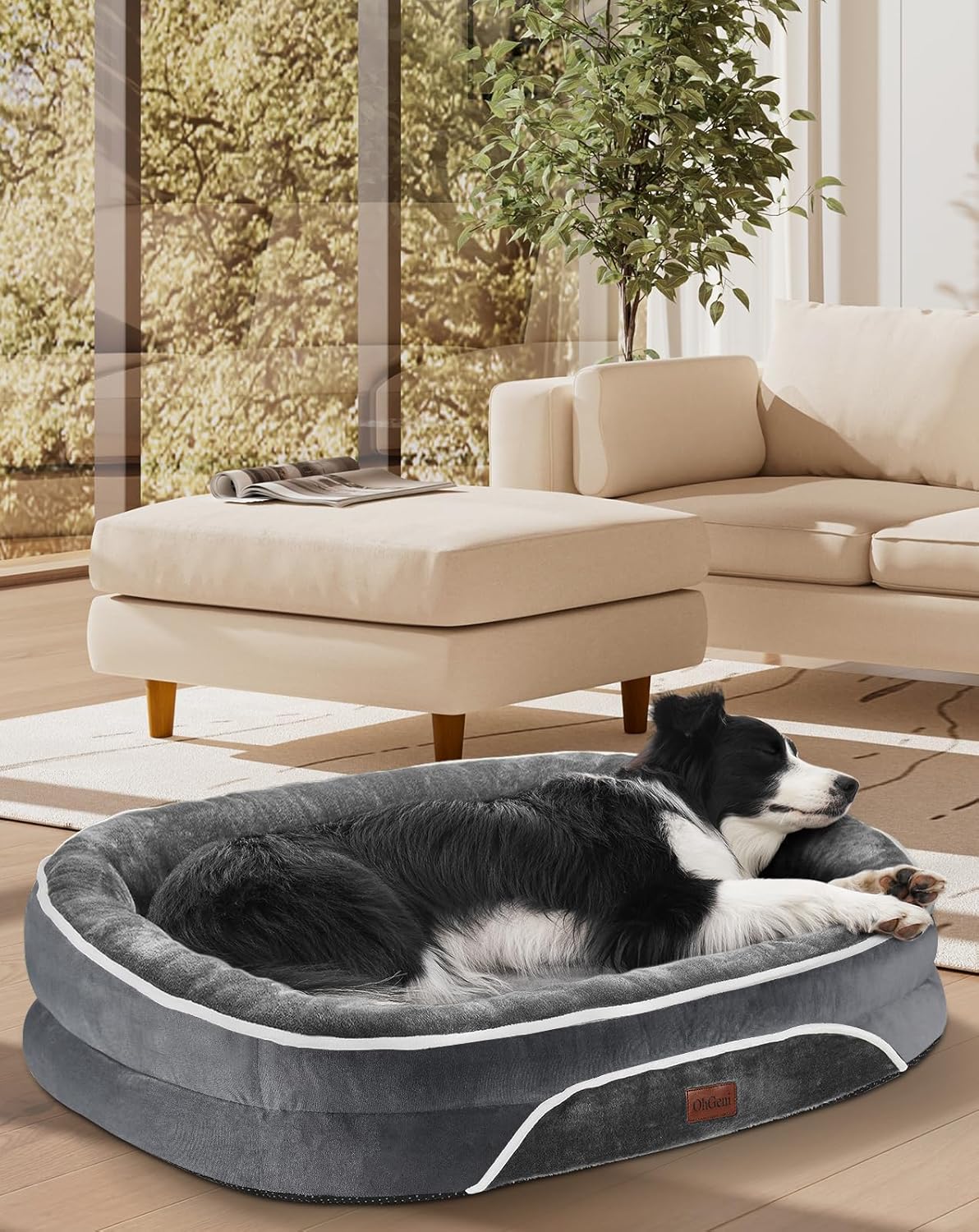 OhGeni Orthopedic Dog Bed Couch for Large Sized Pets with Egg Foam Support, Four-Sided Bolster Cushions, Soft Tear-Resistant Fabric, and Removable Machine Washable Plush Cover 35-Inch (Gray) OhGeni Orthopedic Dog Bed Couch for Large Sized Pets with Egg Foam Support, Four-Sided Bolster Cushions, Soft Tear-Resistant Fabric, and Removable Machine Washable Plush Cover 35-Inch (Gray)