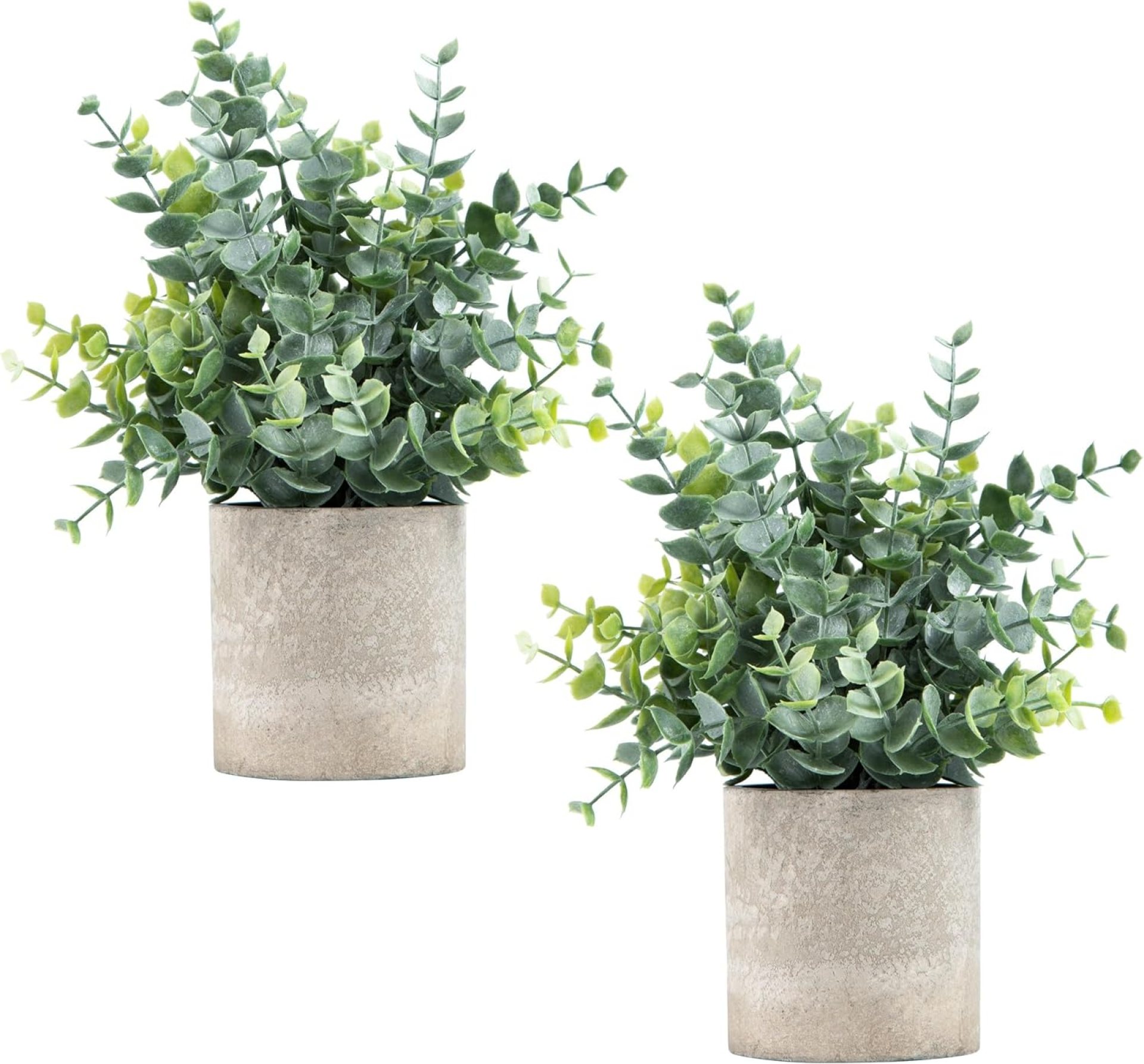 2 Pack Small Fake Plants Eucalyptus Potted Artificial Plants for Shelf Desk Home Bathroom Farmhouse Room Coffee Table Decor (Sage Green) 2 Pack Small Fake Plants Eucalyptus Potted Artificial Plants for Shelf Desk Home Bathroom Farmhouse Room Coffee Table Decor (Sage Green)