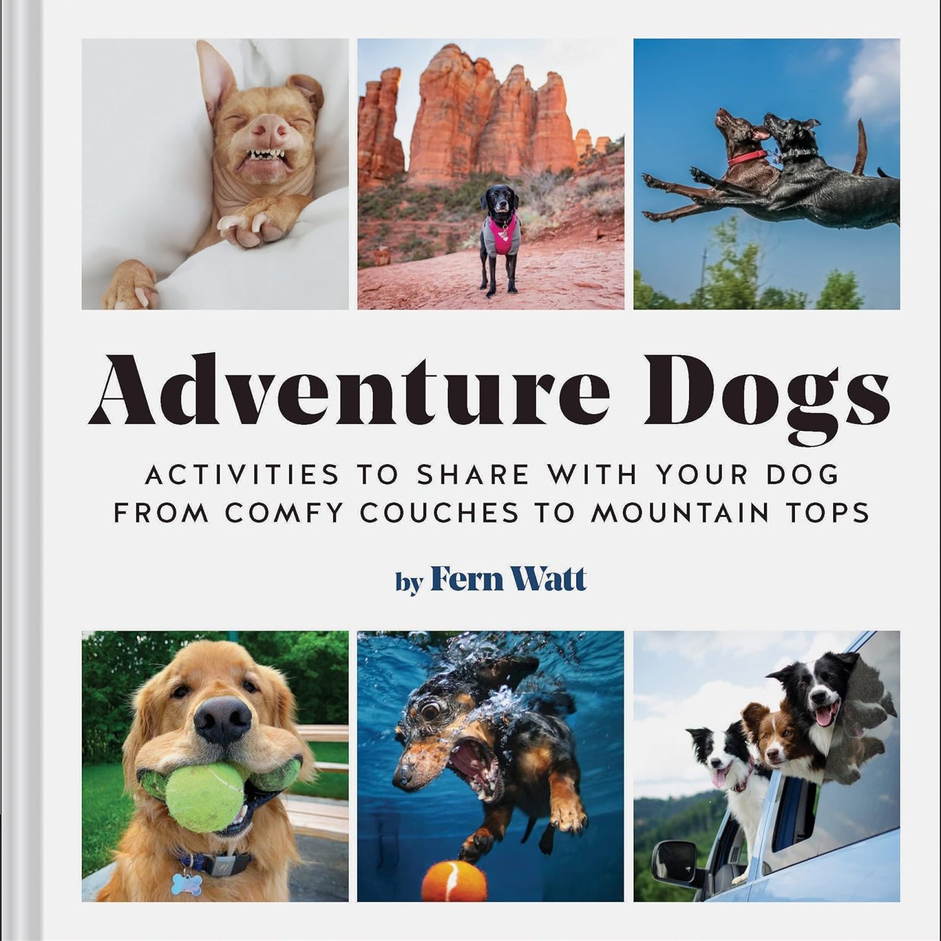 Adventure Dogs: Activities to Share with Your Dog―from Comfy Couches to Mountain Tops Adventure Dogs: Activities to Share with Your Dog―from Comfy Couches to Mountain Tops