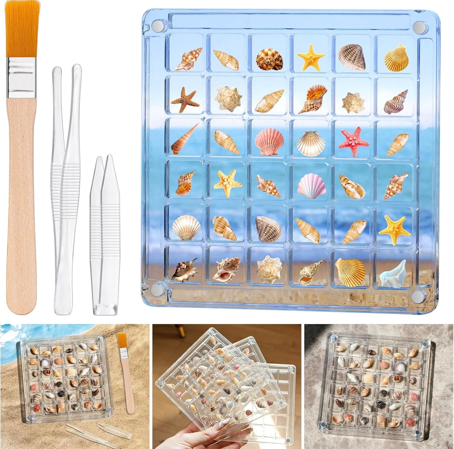 Acrylic Magnetic Seashell Display Box – 36 Grids Transparent Shell Collection Case for Mini Seashells, Jewelry, Small Collectibles – Shell Display Case, Seashell Display Case (Box-001) Acrylic Magnetic Seashell Display Box – 36 Grids Transparent Shell Collection Case for Mini Seashells, Jewelry, Small Collectibles – Shell Display Case, Seashell Display Case (Box-001)
