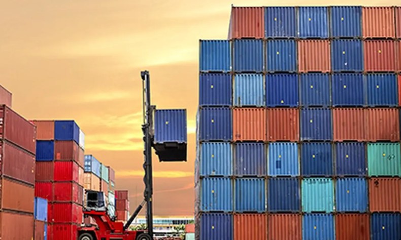 Govt developing platform for online submission of documents in trade remedy probes Govt developing platform for online submission of documents in trade remedy probes