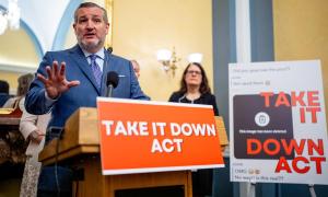 US Congress passes ‘Take It Down’ revenge porn bill that also covers AI deepfakes US Congress passes ‘Take It Down’ revenge porn bill that also covers AI deepfakes