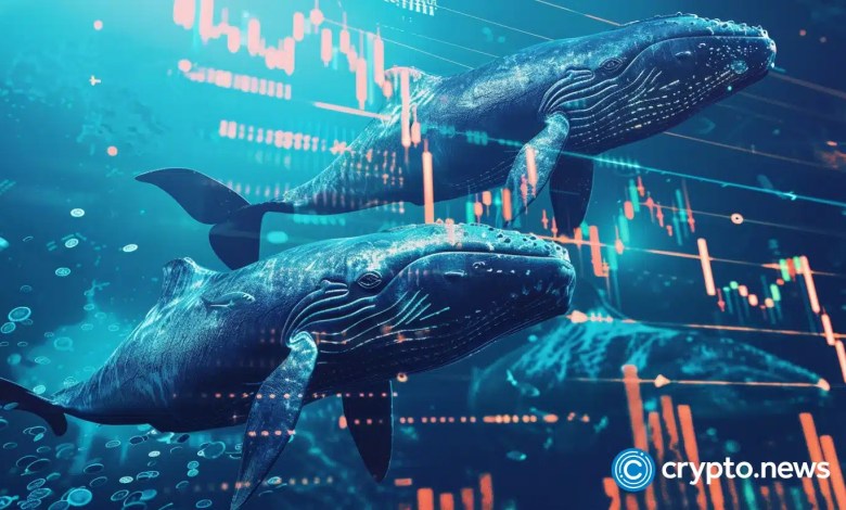 Whales bought .7B of Bitcoin as ETFs bled a record B Whales bought .7B of Bitcoin as ETFs bled a record B