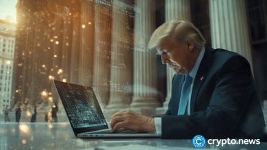 Trump pays DHS workers, but legal experts cry foul Trump pays DHS workers, but legal experts cry foul