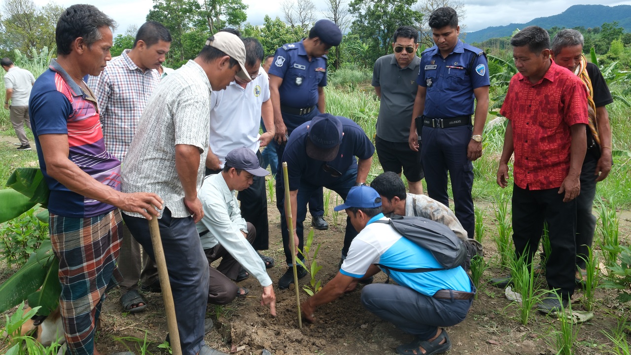 সাজেকে আড়াই লাখ কপি-কাজুবাদামের চারা বিতরণ – Barta24 সাজেকে আড়াই লাখ কপি-কাজুবাদামের চারা বিতরণ – Barta24
