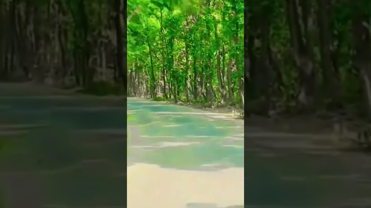 পছন্দের গান …বিদ্রোহী সেনা । #army #bangladesharmy #armypersonnel #bangladeshmilitary #love পছন্দের গান …বিদ্রোহী সেনা । #army #bangladesharmy #armypersonnel #bangladeshmilitary #love