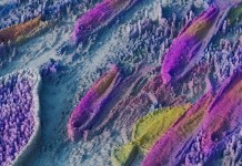 The latest Deepmind research in Neuips 2022