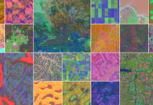 The basics of Alphaearth helps to map our planet in unprecedented details