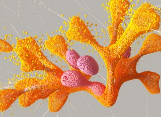 Catalog of genetic mutations to help indicate the cause of diseases